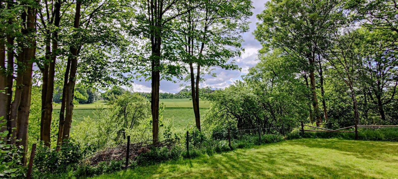 Inikama: Designer Apartment Im Gruenen - Netflix Rosengarten  Eksteriør billede